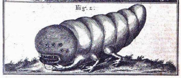 9 Spooky Creatures from Jewish Folklore